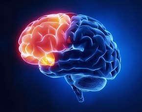 Concussion Rehabilitation Lafayette CO